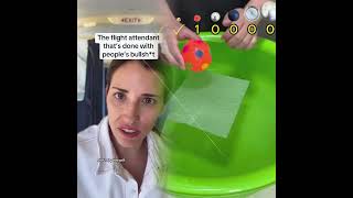 The No Nonsense Flight Attendant