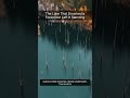 The Lake That Drowned a Forest but Left It Standing