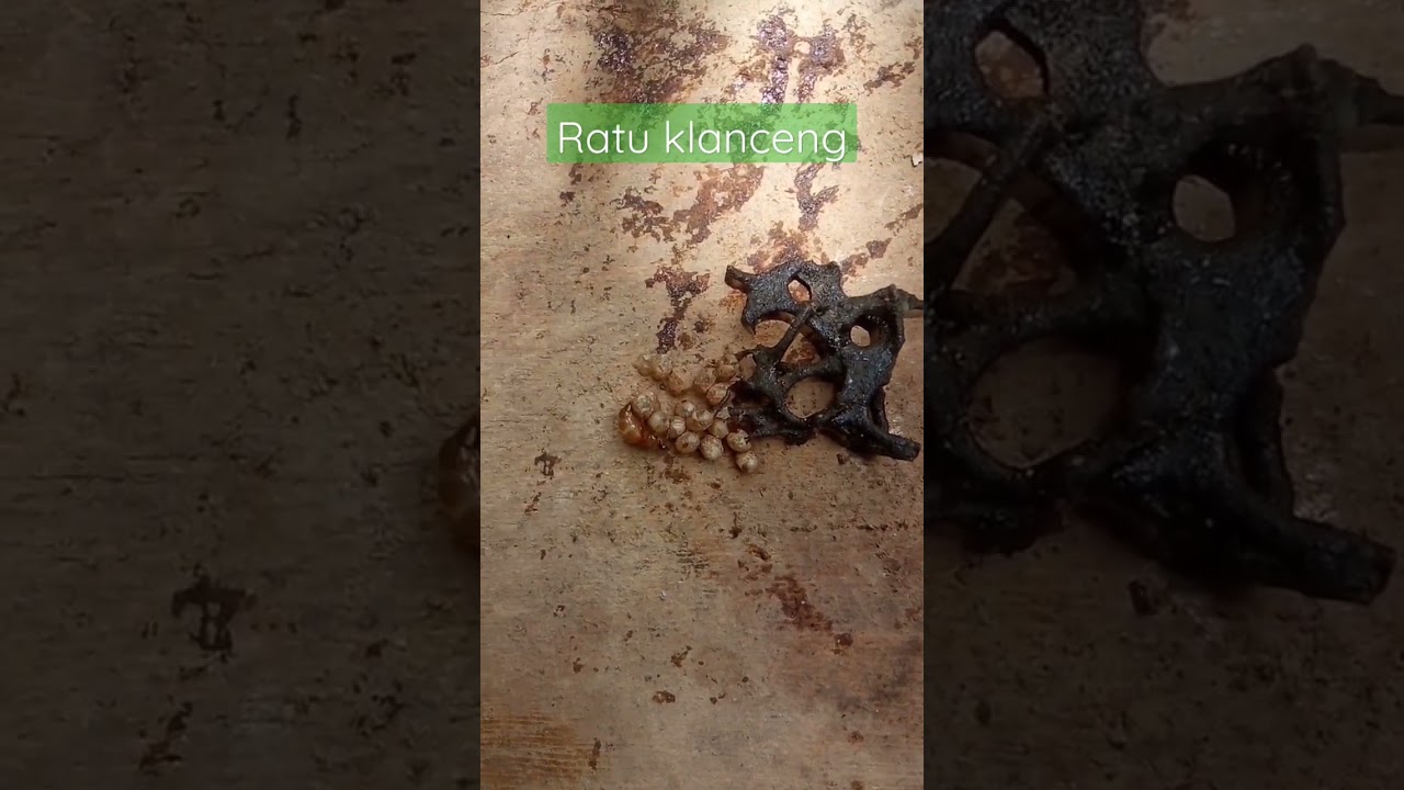 Ternyata begini penampilan Ratu klanceng 