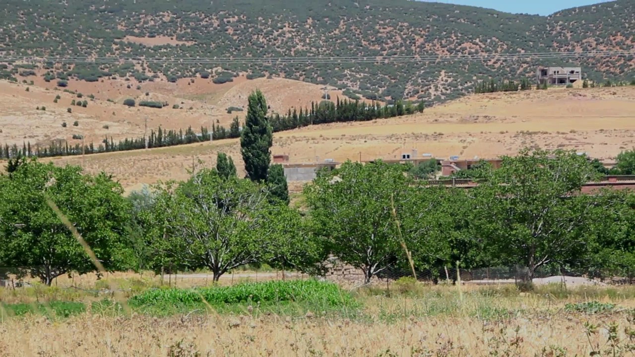 السياحة في الجزائر (بوزيزة )