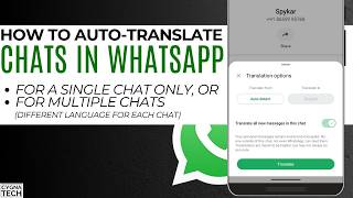 🌍 How to Setup Auto Translate in WhatsApp for a Single Chat and Multiple Chats (Latest Update) screenshot 2