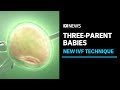 New ivf technique could soon be made legal in australia  abc news