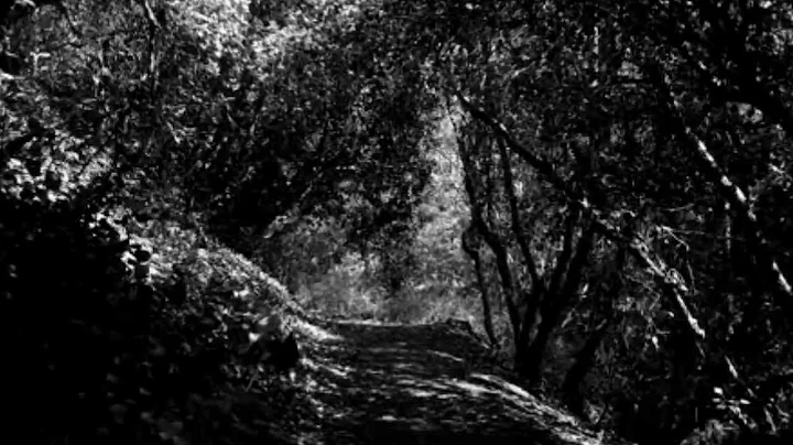 The Old Path by Jackie Dixon