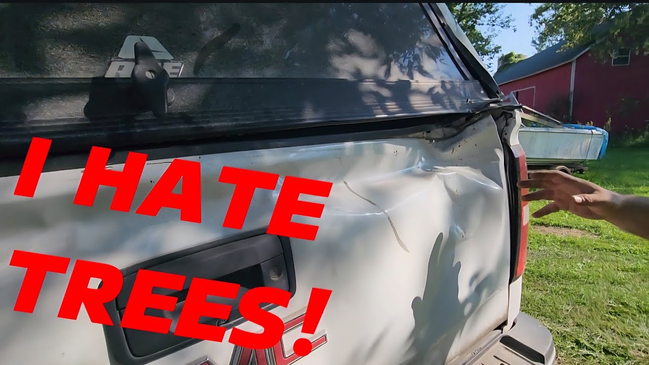 Trees jump out at you! PSA- cut down your trees!