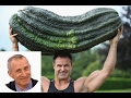 Выращивание огурцов на подоконнике зимой!!! + ФИТО-ЛАМПА!!! Часть 3 Growing cucumbers in the winter