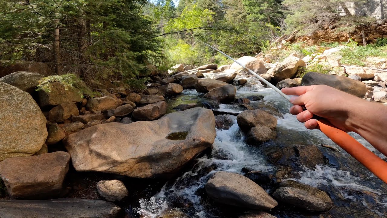 Tenkara Fly Fishing for WILD Brown Trout