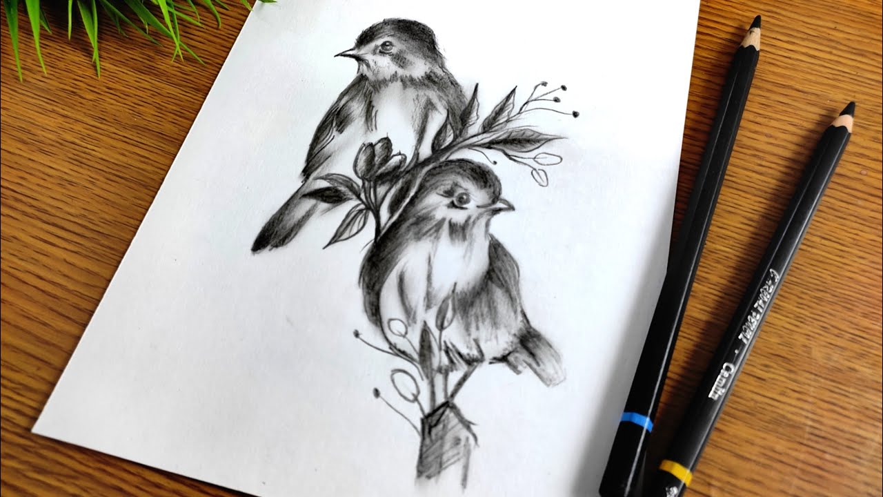 Easy and Creative Bird Drawing with Charcoal Pencil- Step by Step ...