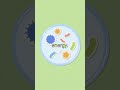 Shocking Science: Photosynthesis Like Never Before