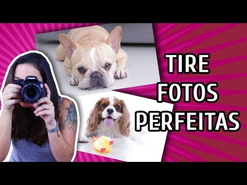 Vídeo: Como tirar ótimas fotos do seu cachorro