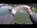 DEEP WATER CHANNEL STRIPER ON BLUEGILL SACRAMENTO 4-27-2019