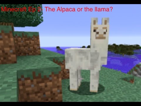Minecraft Ep The Alpaca Or The Llama Youtube