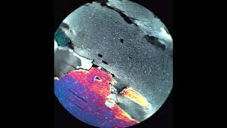 Birds eye extinction tutorial Optical Mineralogy Wealth