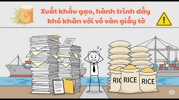 Xuất khẩu gạo: Liệu có dễ dàng như bạn nghĩ? Thủ tục xuất khẩu cho người mới bắt đầu