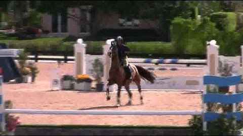 VADORIJKE WEF 2011 A/O