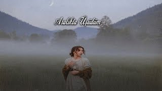 Aralıkta Üşüdüm - Cover Remix / Feat. Helin Resimi