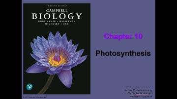 Chapter 10 Photosynthesis