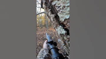Deer hunting with the inline muzzleloader! #deerhunting #shorts #deerseason