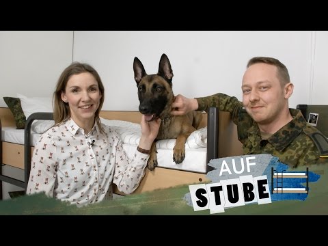 Video: Wie ein Tag im Leben eines Diensthundes aussieht