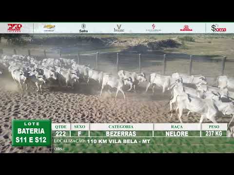 LOTE BATERIA S11 E S12