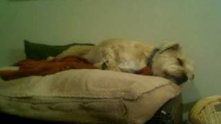 Dixie Chicks Lullaby cover