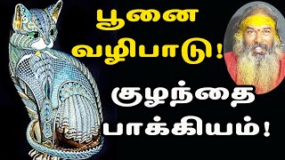 பூனையை வழிபட்டால் குழந்தை பாக்கியம் | yaanan speech | @channelartindia