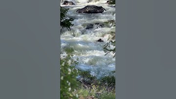 Pause. Reflect. Be. #mindfullnesspractice #mindfulpresence #brainbreaks #peace #mindcleanse