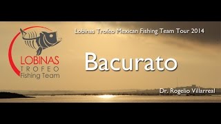 Buscando Lobinas Trofeo en Bacurato