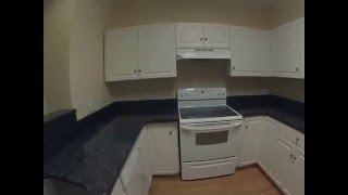 5601 Moss Vine