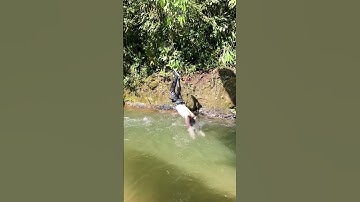 Thumbnail of Adrenalina