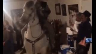 Funny Shor Vids Upstairs Neighbor Be 13jo9