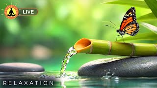 🔴 Relaxing Music 24/7, Sleep Music, Stress Relief Music, Spa, Meditation, Yoga, Zen, Calming Music screenshot 5