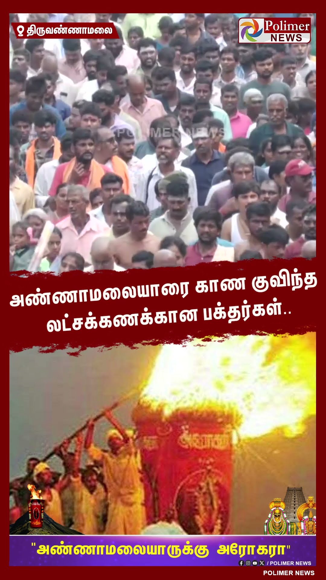 தி.மலையில் தீபத்திருவிழா கோலாகலம்..! #shorts