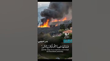 فجعلناها حصيدا كأن لم تغن بالأمس | حرائق لوس أنجلوس _ ناصر القطامي سورة يونس