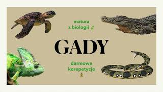 #32 Gady - podział, budowa, charakterystyka 🦎🐢🐍 matura z biologii 📕 liceum