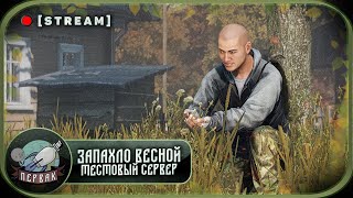 PERVAK Весна - Тестовый сервер | DayZ 1.24