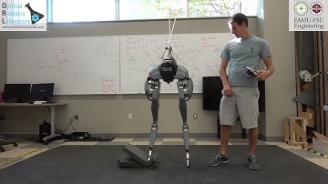 Bipedal Balancing on Dynamic Terrain