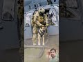 K9 Dog aur Army Jawan ka Dangerous Mission 🐕🦺🚁 #shorts #viralvideo