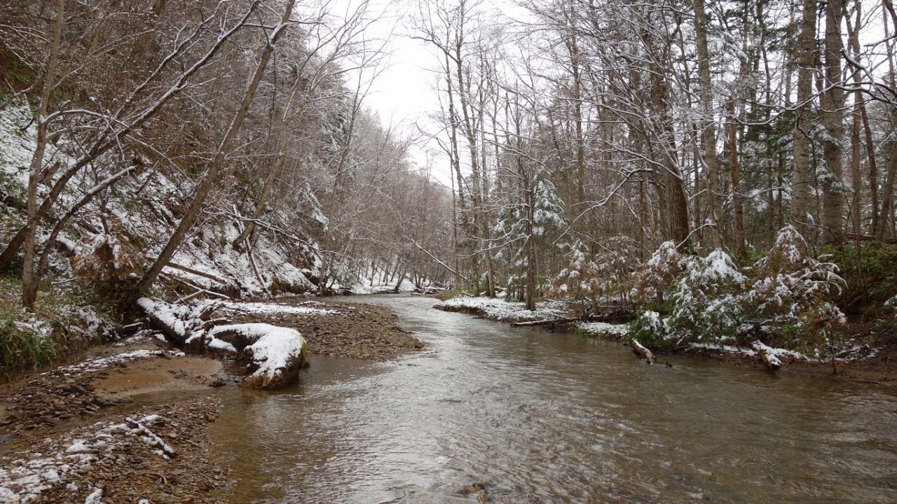 北海道の渓流でルアー釣り 冬に逆戻りの渓でお魚さんを探す April 17 Hokkaido Small Stream Lure Fishing Youtube