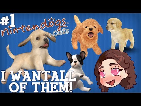 Video: Rase Noi Pentru Euro Nintendogs