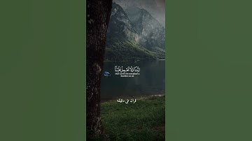 قران كريم ارح قلبك وسمعك #قران_في_دقيقة #quran #سعد_الغامدي #قرآن @قران_في_دقيقه