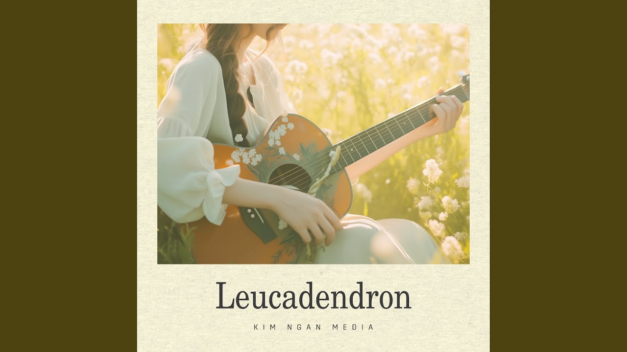 YouTube에서 Bachelors Button 보기 YouTube에서 Bachelors Button 보기