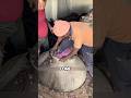 Indian traditional rose perfume production #shorts