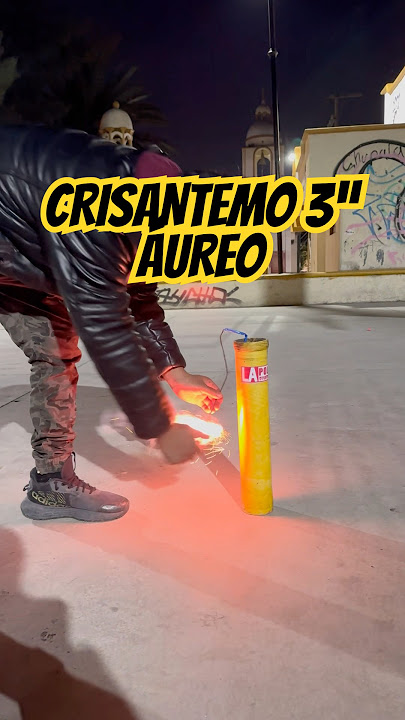 CRISANTEMO 3”.   #aureo #doradori #especial #videoviral