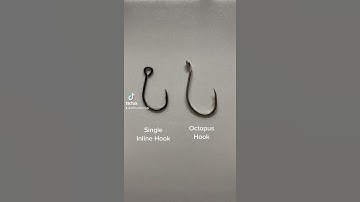 Single inline Hook vs Octopus Hook #shorts