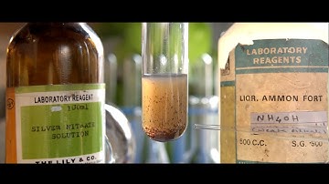 What happens when AgNO3 reacts with NH4OH? | AgNO3 + NH4OH