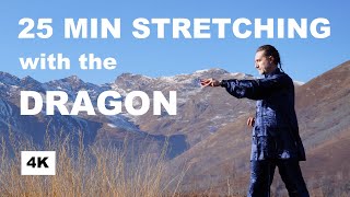 25 MIN FULL BODY TAI CHI STRETCHING EXERCISES by the Dragon