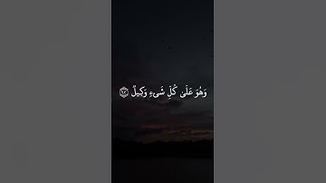 الله خالق كل شي وهو على كل شي وكيل القارئ عمر الدريويز