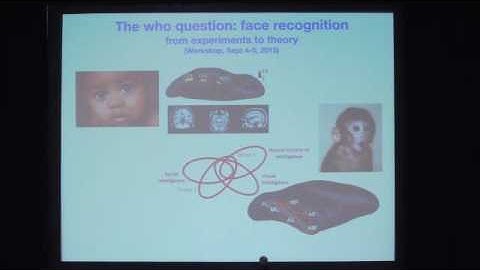 Symposium: Brains, Minds and Machines - Tomaso Poggio