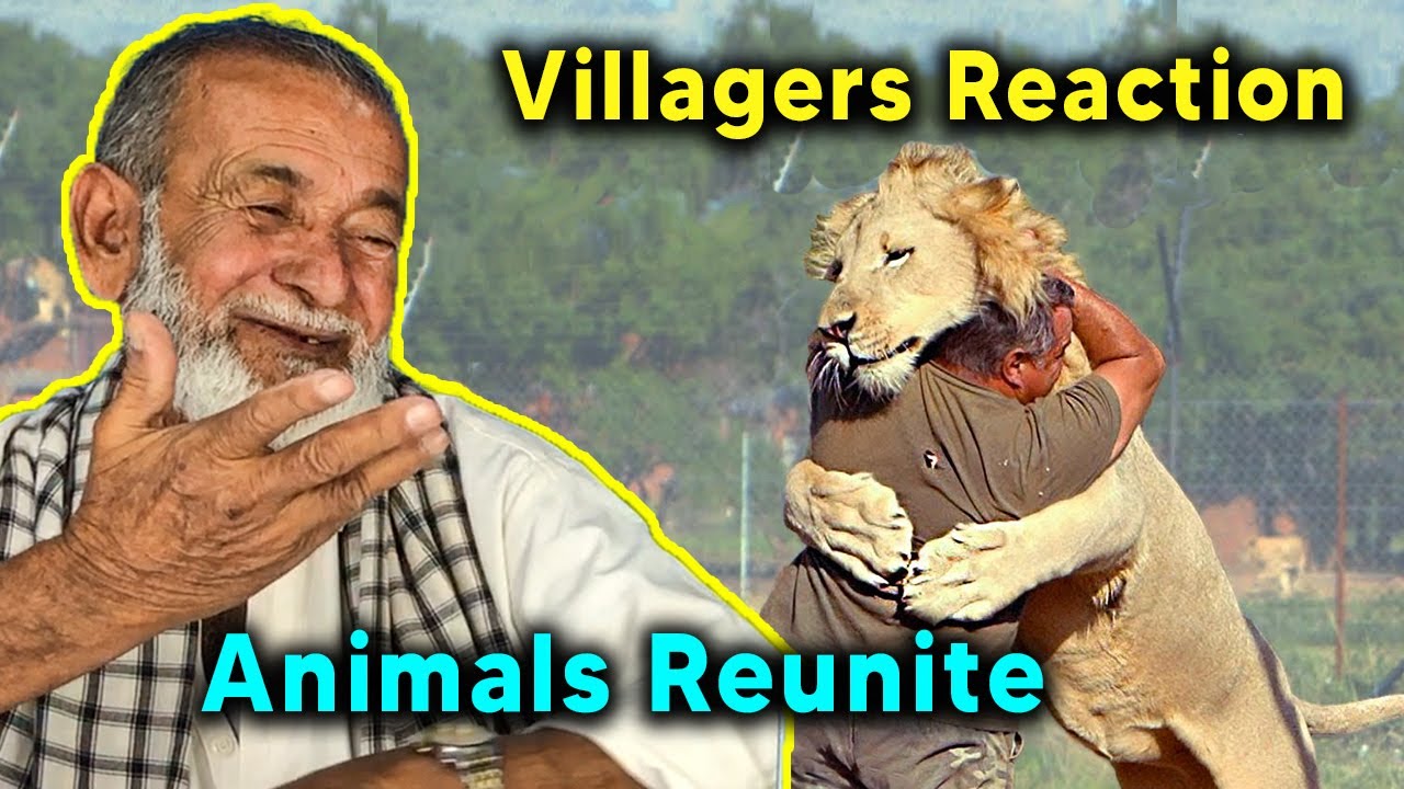 Tribal People React To Animals Reunited With Owners After Years