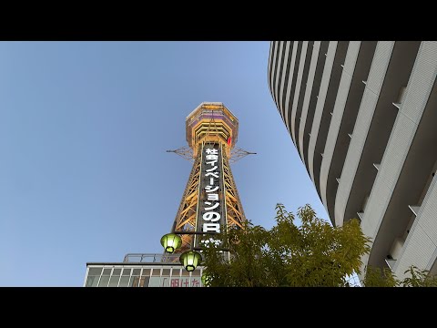 今日の動画は